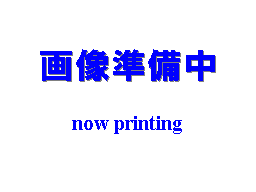Now printing...